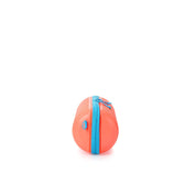 Rollio