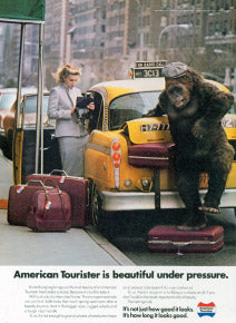 gorilla.jpg