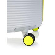 Rollio